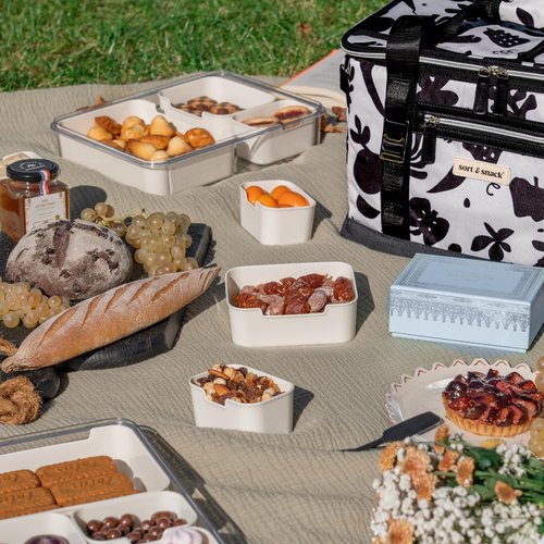 Sort & Snack Travel Cooler Bag - Fits up to 3 Sort & Snack Snacklebox - Perfect Insulated Soft Cooler Bags Collapsible Coolers for Travel and Road Trip Essentials for Adults