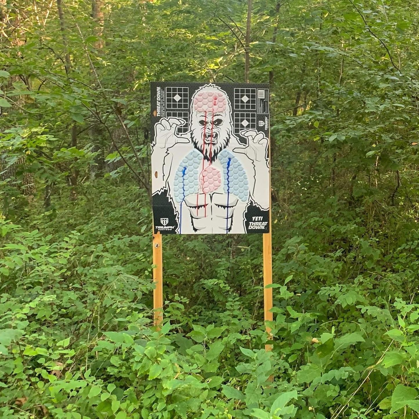 Triumph Systems Threat Down Monster Targets - Reactive Target - Shooting Target - Reactive Splatter Target - Targets for Shooting
