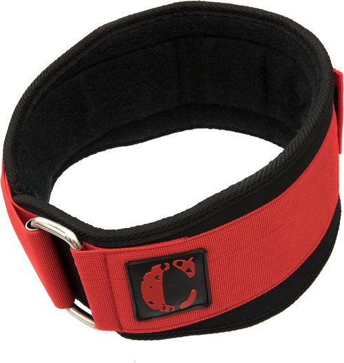 Contraband Black Label 4040 5in Foam Padded Weight Lifting Belt w/Hook & Loop - Perfect Heavy Duty Back Support for Weightlifting Bodybuilding Powerlifting - Men & Women
