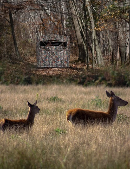 RODANNY Hunting Blind, 270 Degree See-Through Ground Blind 2-3 Person, Pop-Up & Portable Durable Hunting Blind with Carry Bag, for Deer & Turkey Hunting