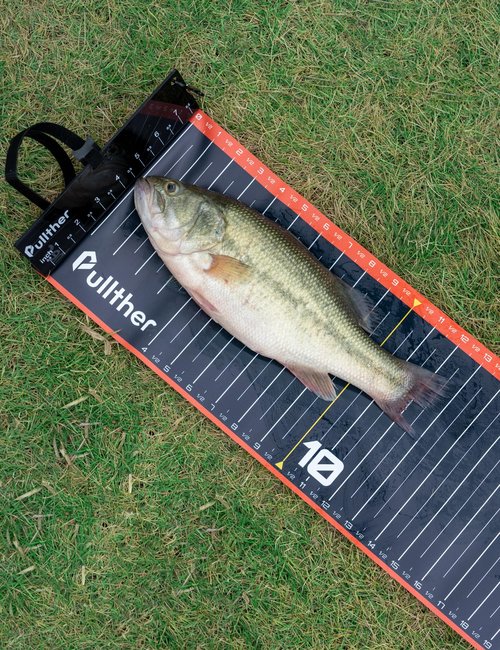 Pullther Fishing 53in Fish Ruler,Fish Measuring Tape,Fishing Ruler with Bump Board,Waterproof Fishing Measurement Tool