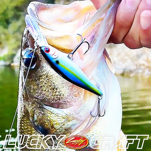 Lucky Craft Pointer 78DD Fishing Lures for Freshwater, 3" Suspending Jerkbait, Trout, Bass Lures, Tournament Winning, Premium Lake Fishing Gear, 545 NC French Pearl Sakura