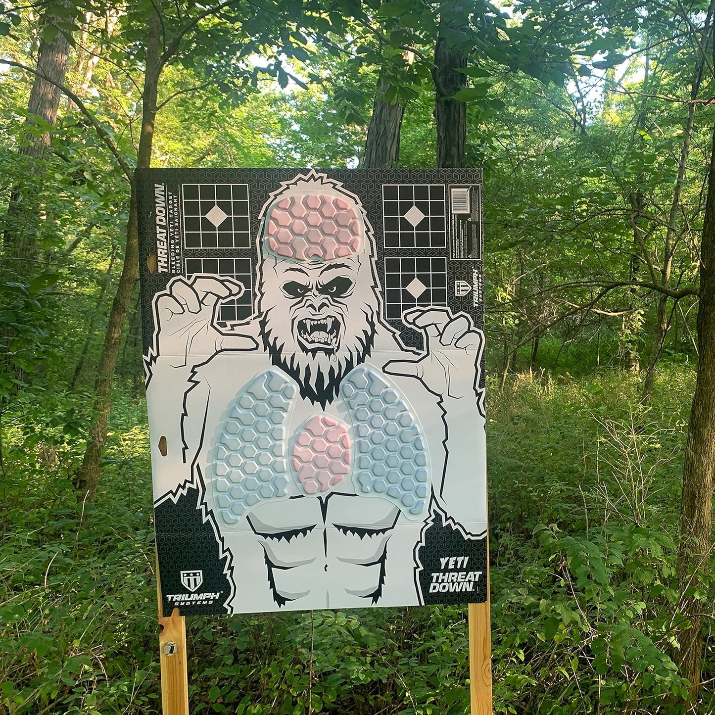 Triumph Systems Threat Down Monster Targets - Reactive Target - Shooting Target - Reactive Splatter Target - Targets for Shooting