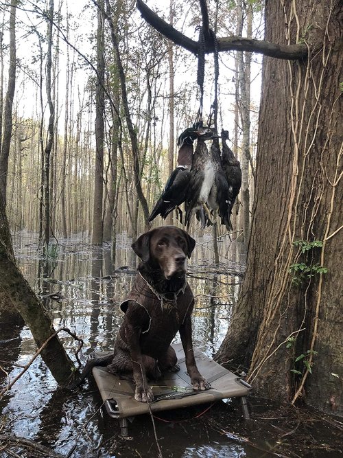 Duck Carrier - 12 Drops, Slip Knot - Bird Tote, Waterfowl & Goose Hanger, Game Tote, Paracord